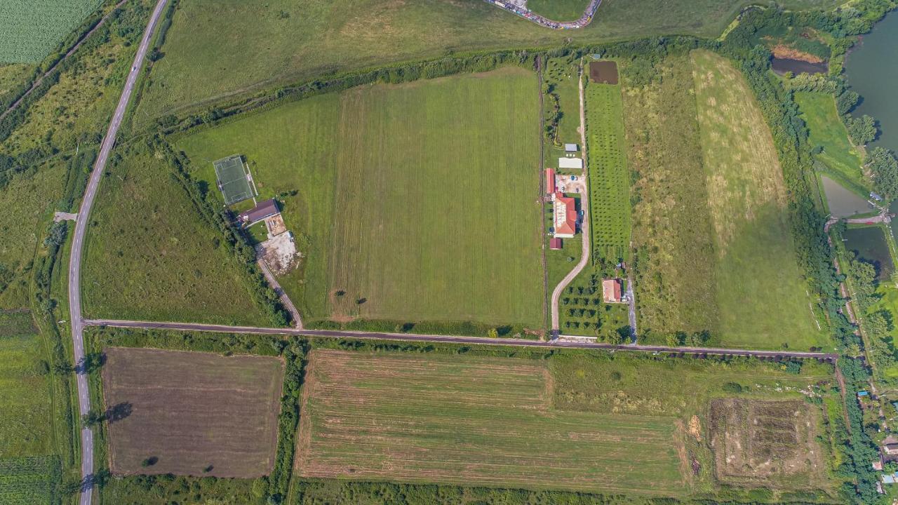 Stejarii Resort Ineu  Buitenkant foto